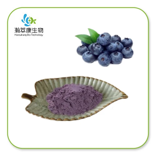 organic blueberry juice powder